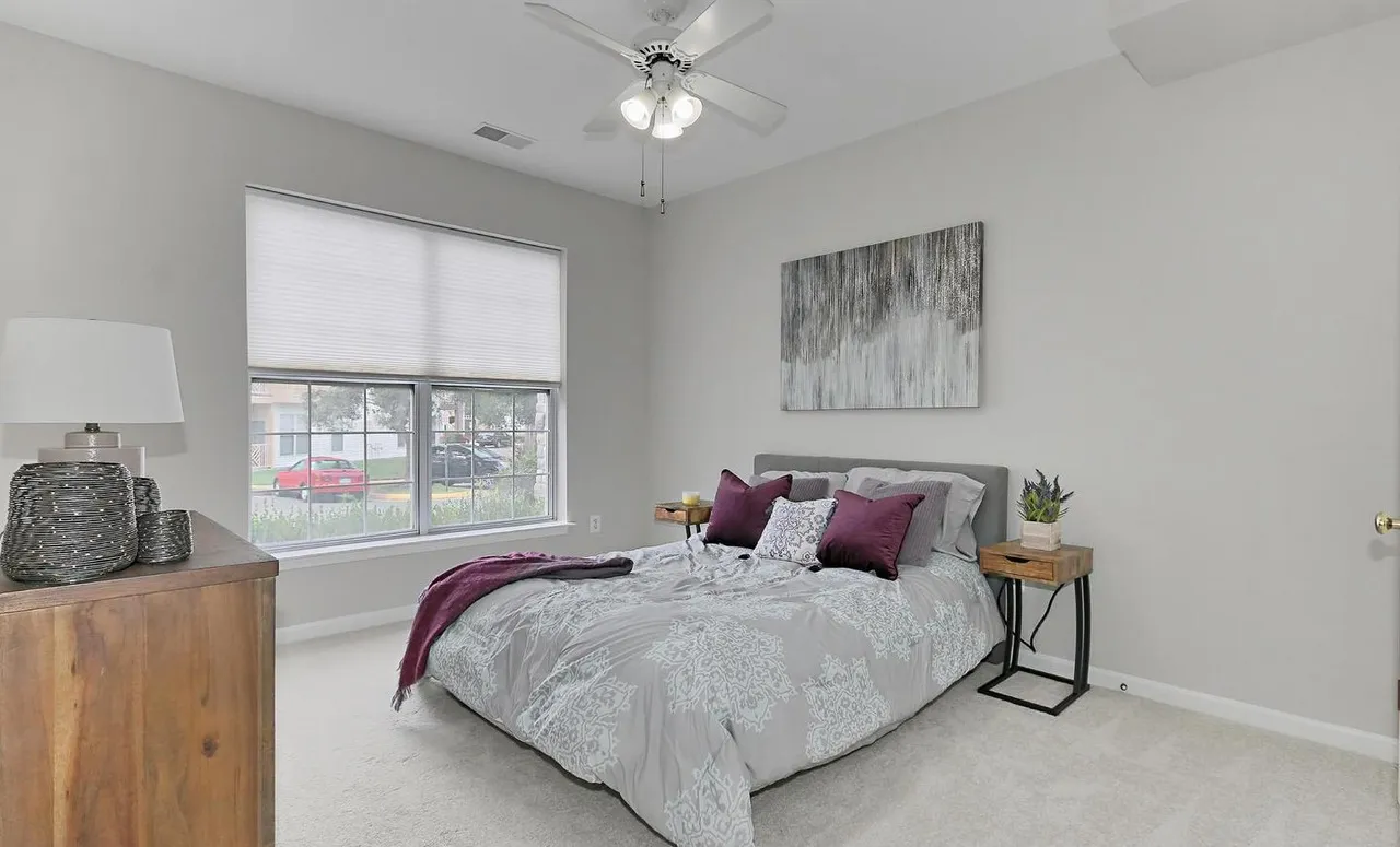 Staged primary bedroom with fresh paint and carpet.